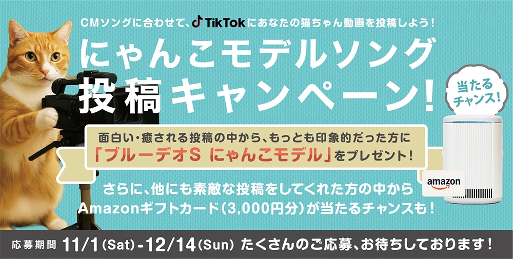 ブルーデオS にゃんこモデルソング投稿キャンペーン｜ニュース｜株式