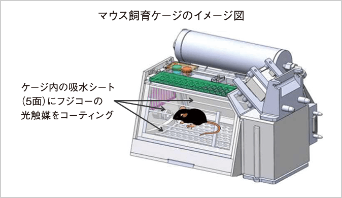 マウス飼育ケージのイメージ図：ケージ内の吸水シート（5面）にフジコーの光触媒をコーティング